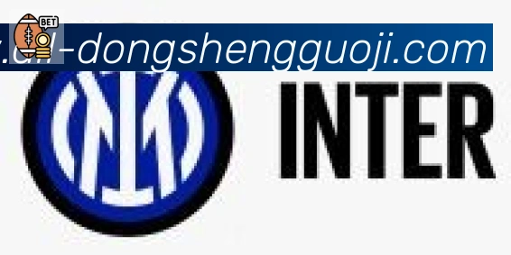 东升国际棋牌合作伙伴